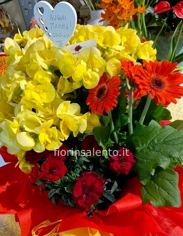 Mix piante toni gialli