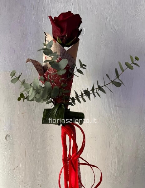 Rosa suer Explorer  100 cm